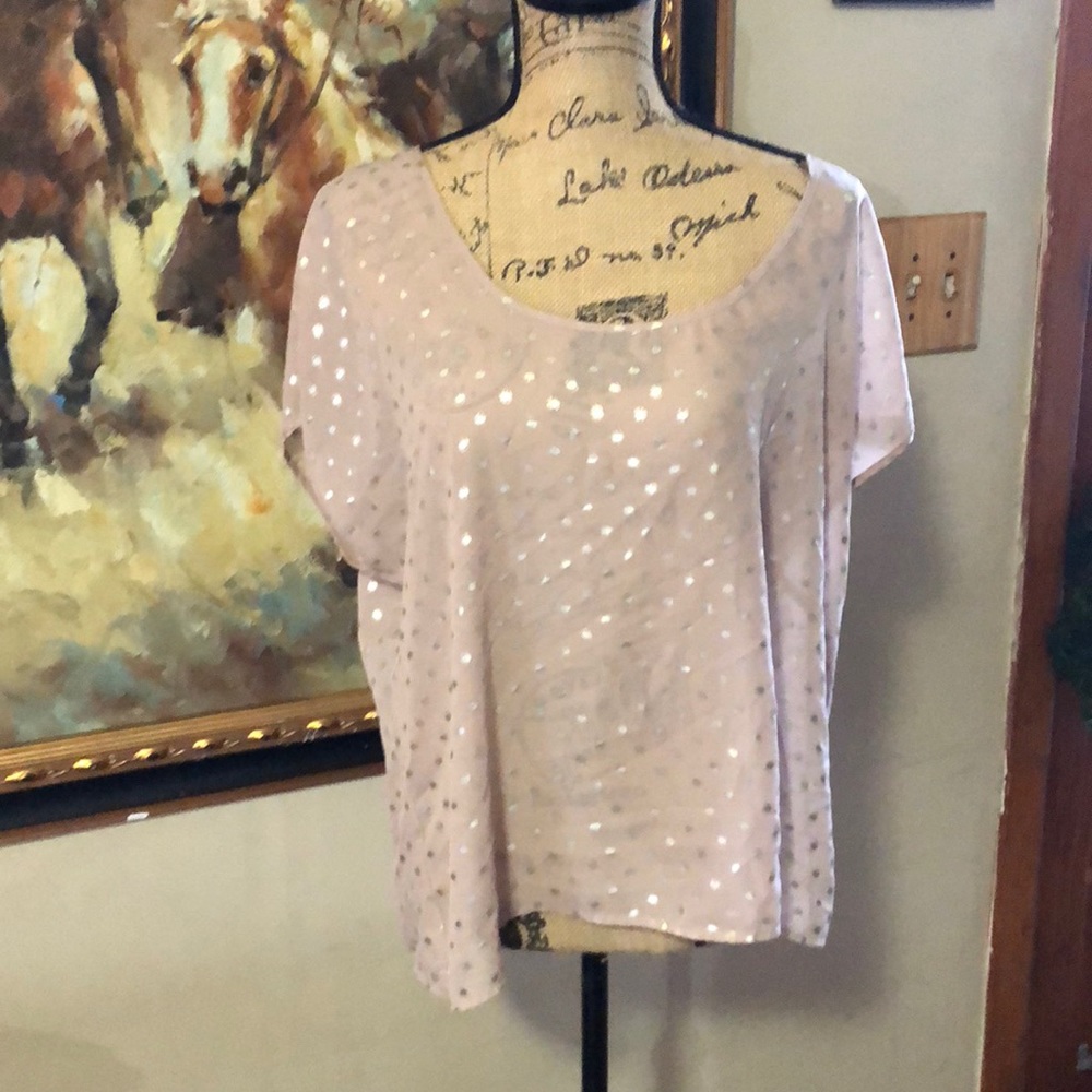 Sheer 1x blouse